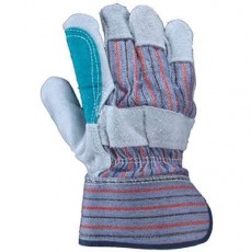 Caiman General Purpose