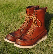 19883 Red Wing 877