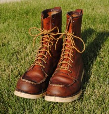 1983 Red Wing Irish Setter 877