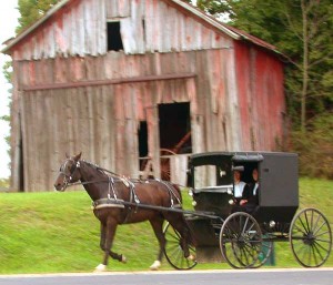 Amish Buggy